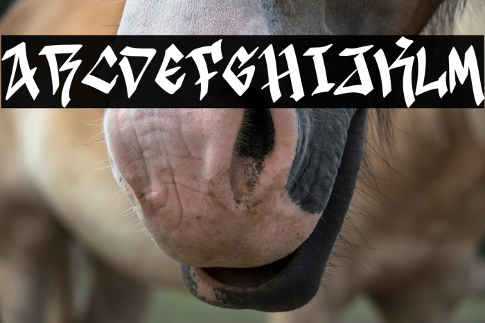 Black Town Demo Example 1