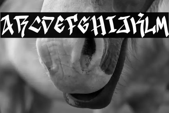 Black Town Demo Caratteri examples