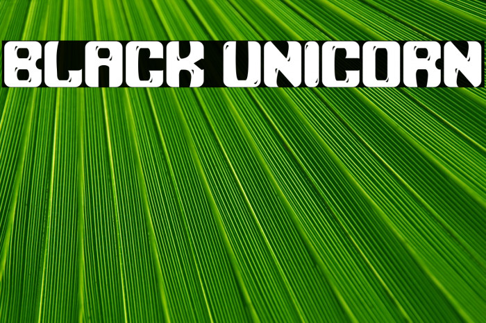 Black Unicorn Example 2