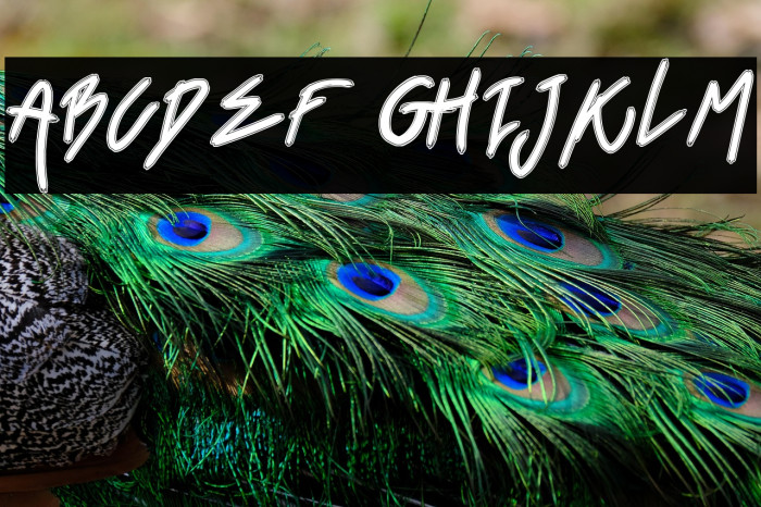 Black Venom Example 3