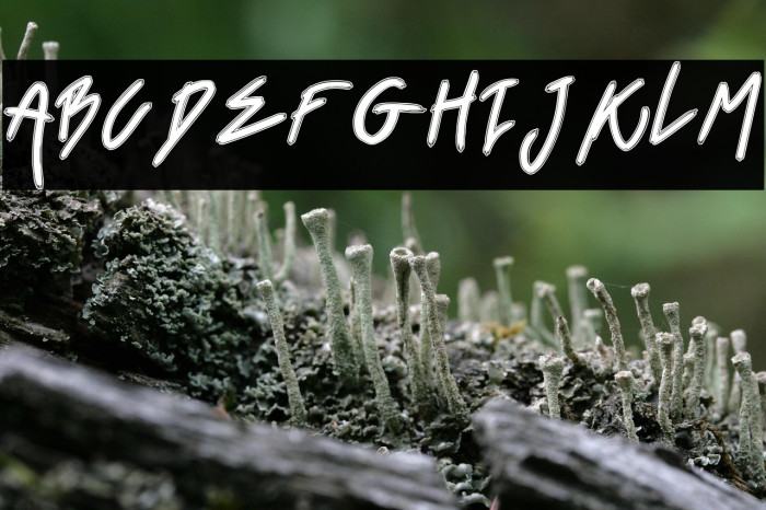 Black Venom Example 2