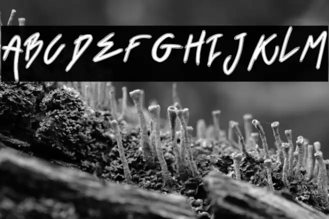 Black Venom Font examples