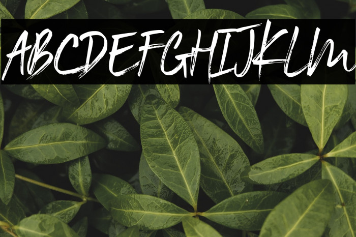 Black Vosten Personal Use Example 2