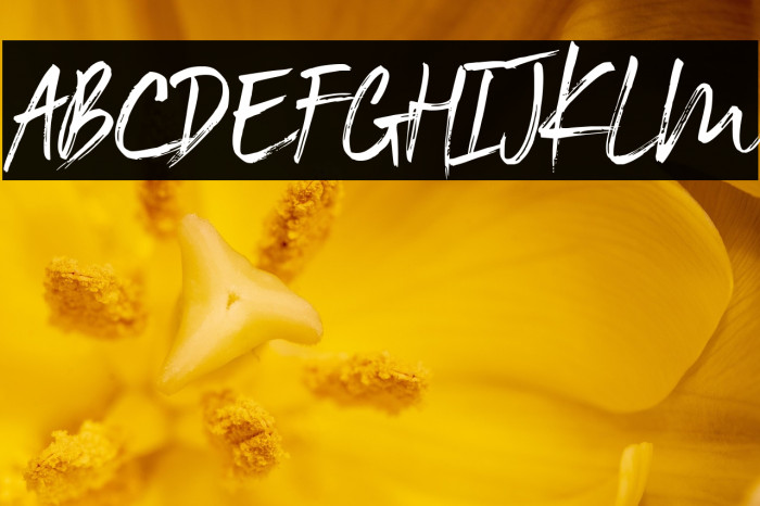 Black Vosten Personal Use Example 3