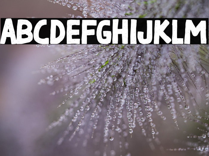 Black Week Boys Example 1