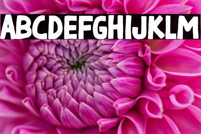 Black Week Boys Example 2