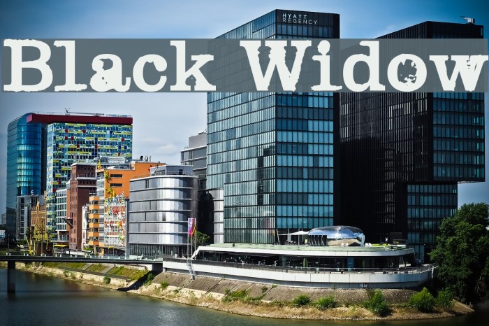 Black Widow Fonte examples