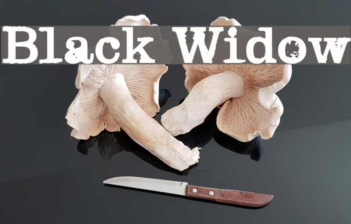 Black Widow Fonte examples