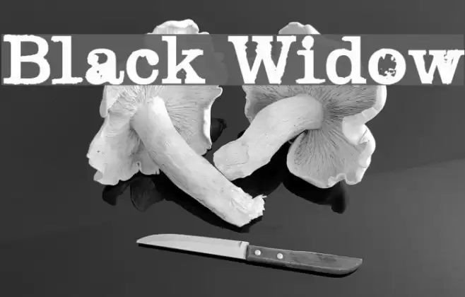 Black Widow Font examples