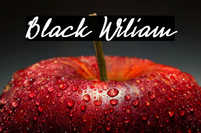 Black Wiliam Example 1