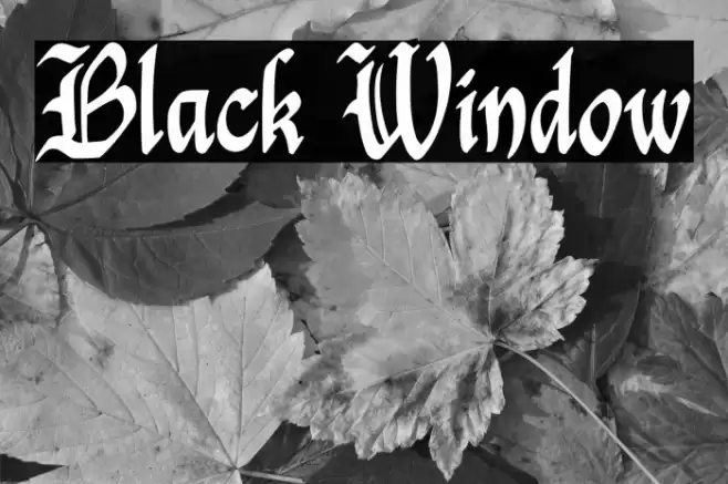 Black Window Font examples