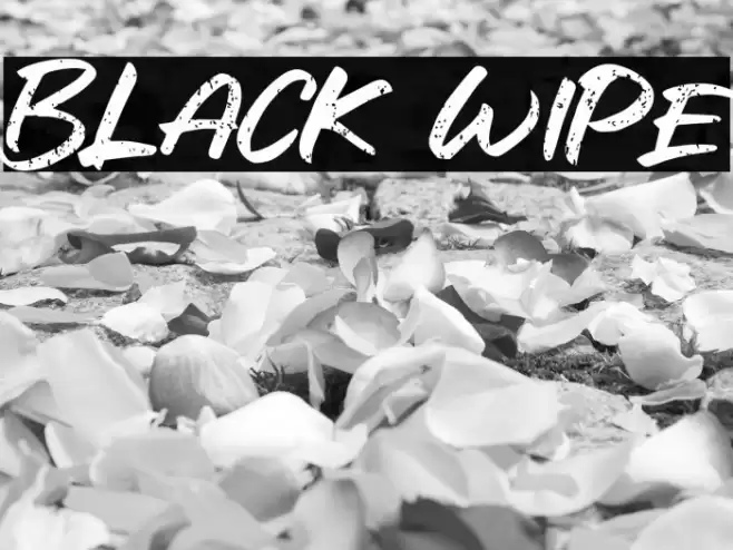 Black Wipe Font examples