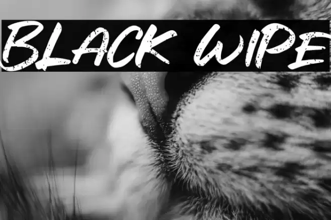 Black Wipe Font examples