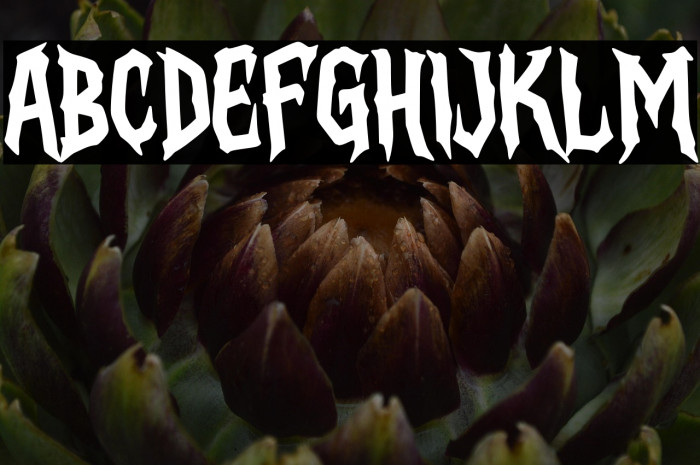 Black Witcher Personal Use Example 2