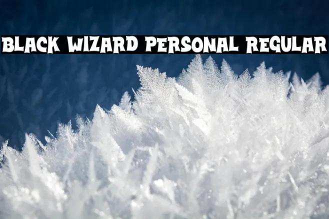 Black Wizard PERSONAL Regular Example 1