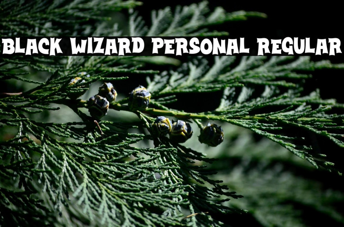 Black Wizard PERSONAL Regular Example 3