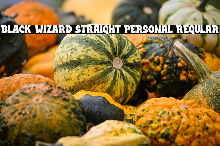 Black Wizard Straight PERSONAL Regular Example 1