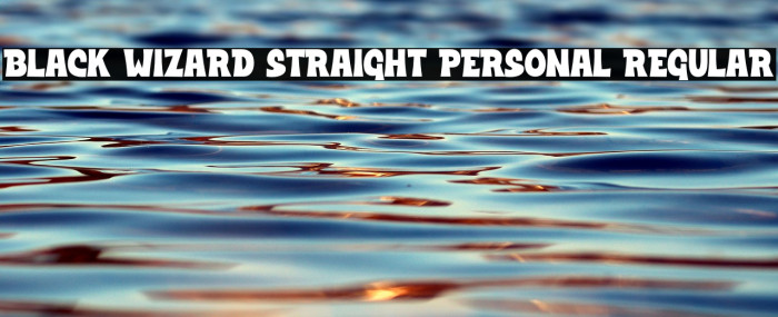 Black Wizard Straight PERSONAL Regular Example 2