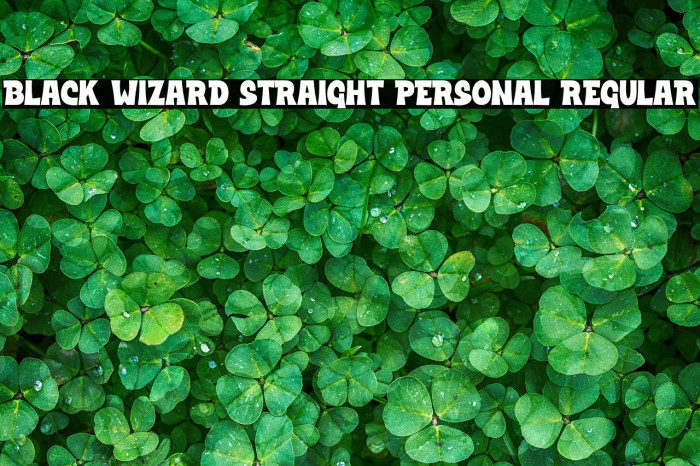 Black Wizard Straight PERSONAL Regular Example 3