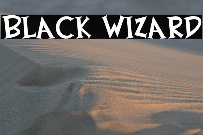 Black Wizard Example 3