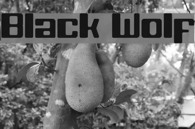 Black Wolf Font examples