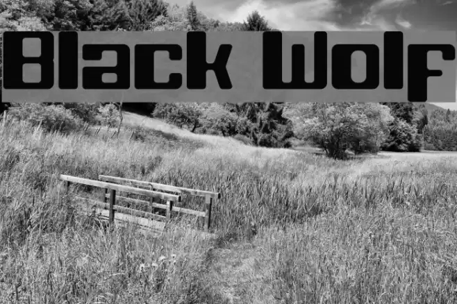 Black Wolf Font examples
