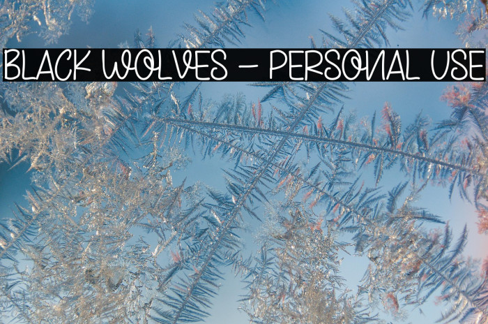Black Wolves - Personal Use Example 3