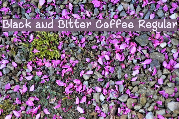 Black and Bitter Coffee Regular Font examples