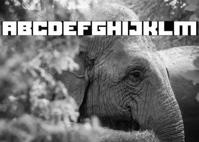 Black bison Font examples