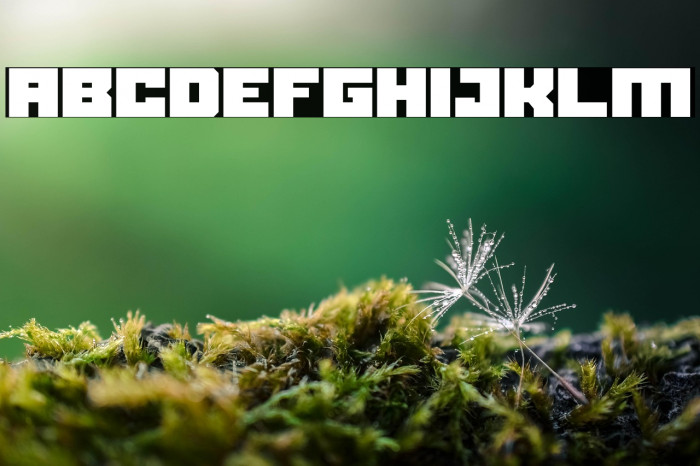 Black bison Example 2