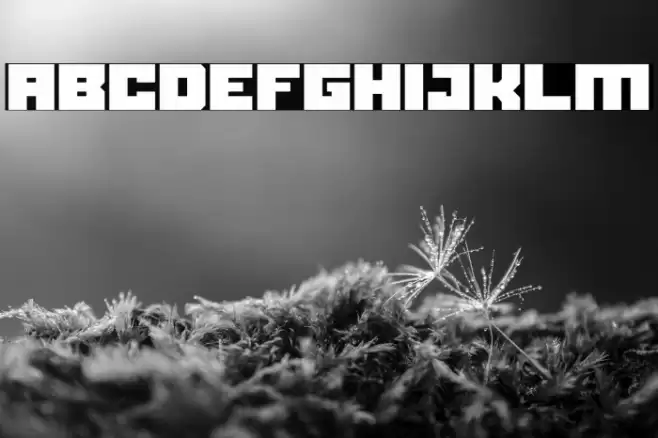 Black bison Font examples