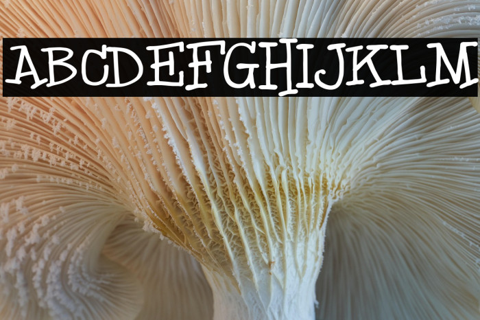 Black boys on mopeds Example 3