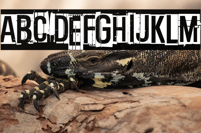 Black clouds, white sky Example 1