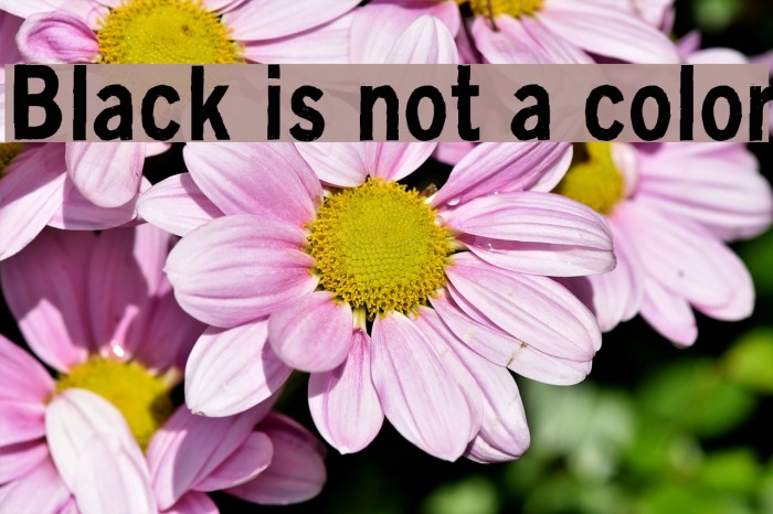 Black is not a color Font examples