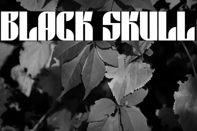 Black skull Font examples