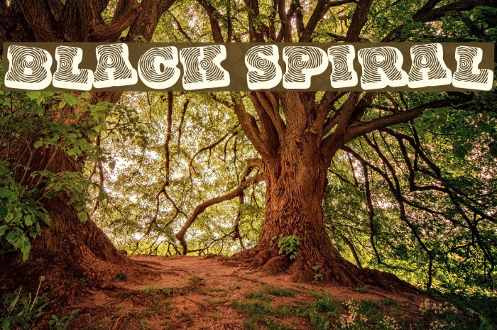 Black spiral Font examples