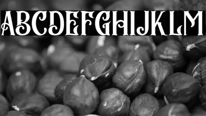 BlackArcade Font examples