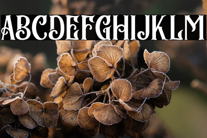 BlackArcade Example 2