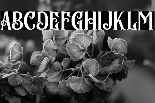 BlackArcade Font examples