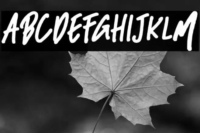 BlackBassDemo Font examples