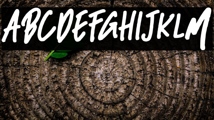 BlackBassDemo Example 2