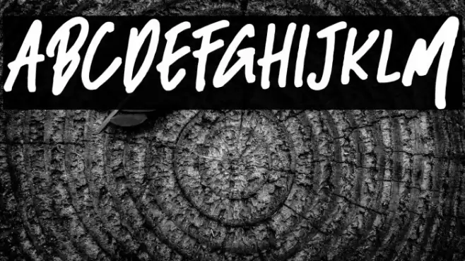 BlackBassDemo Font examples