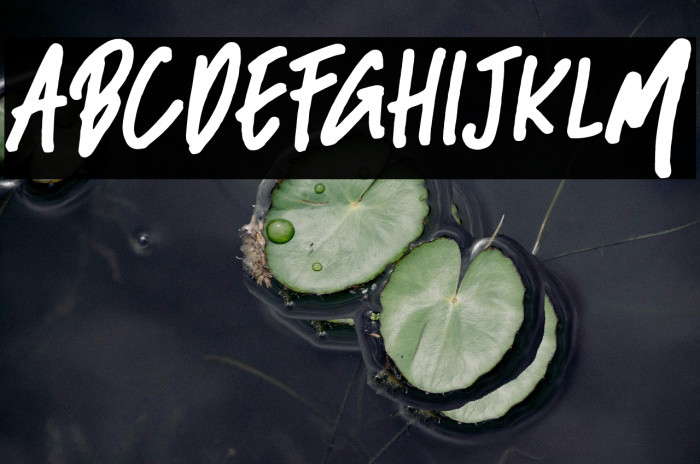 BlackBassDemo Example 3