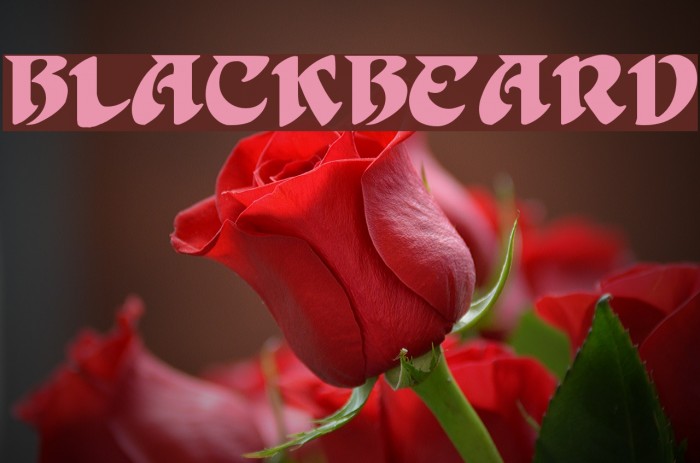 BlackBeard Font examples