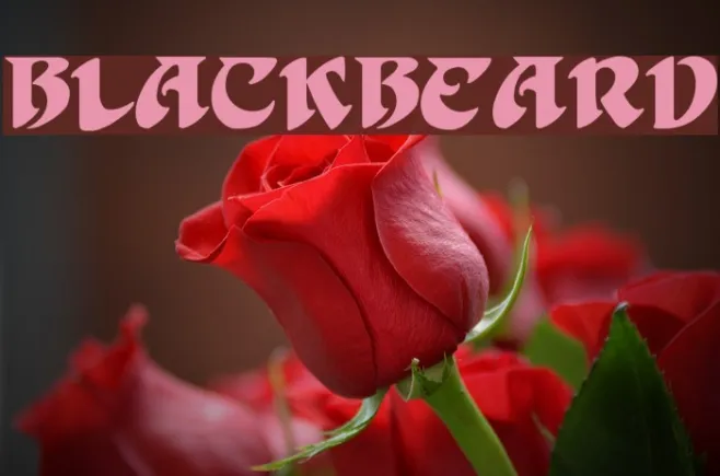 BlackBeard Example 2