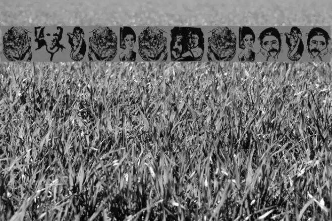 BlackBeckMan Font examples