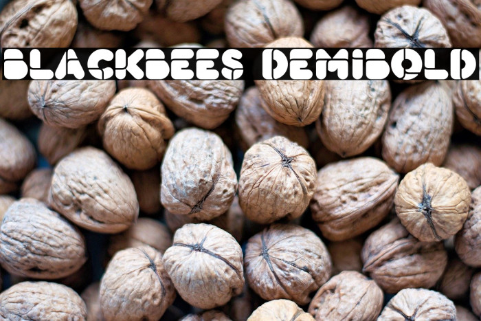 BlackBees DemiBold Example 1