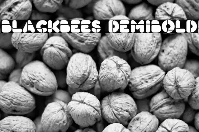 BlackBees DemiBold Font examples