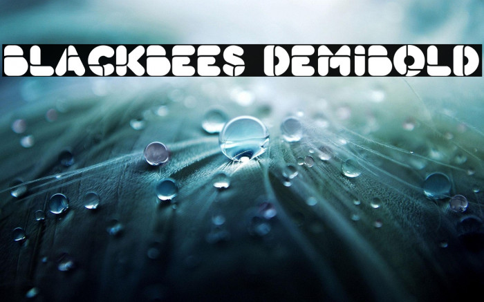 BlackBees DemiBold Example 3