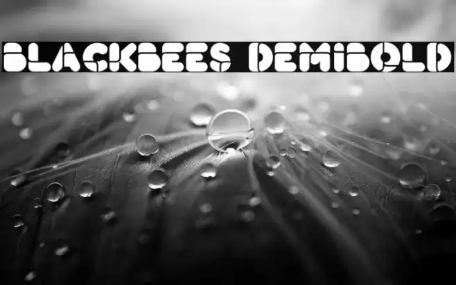 BlackBees DemiBold Font examples